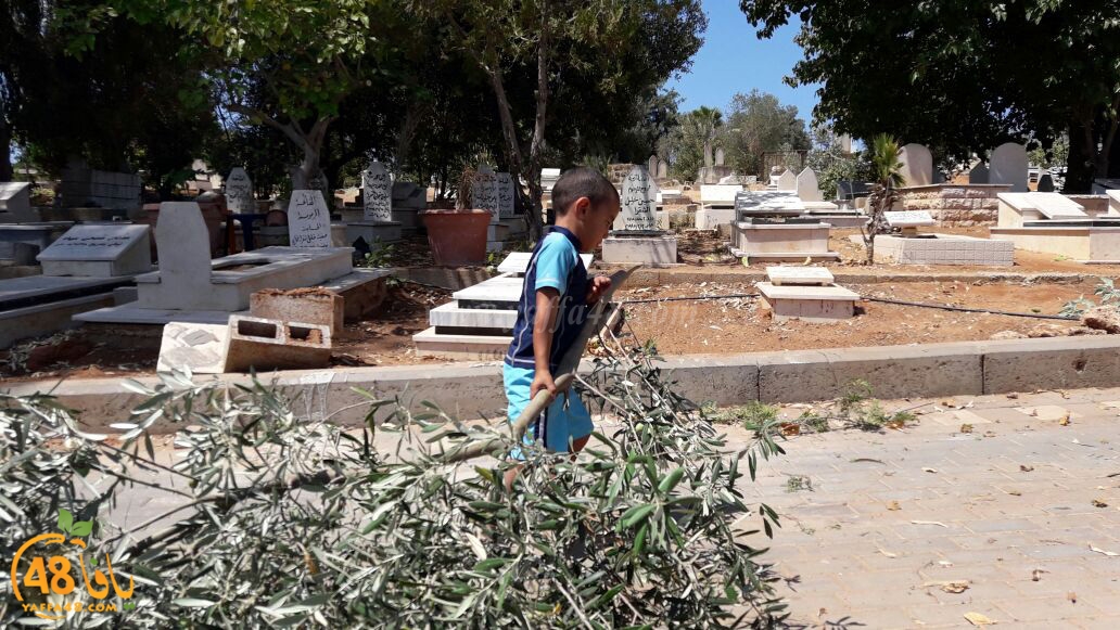 maqbara yaffai39 tandef (11).jpg